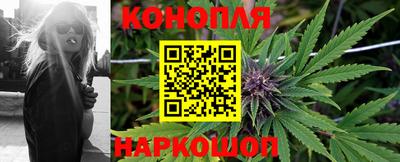 spice Волгодонск