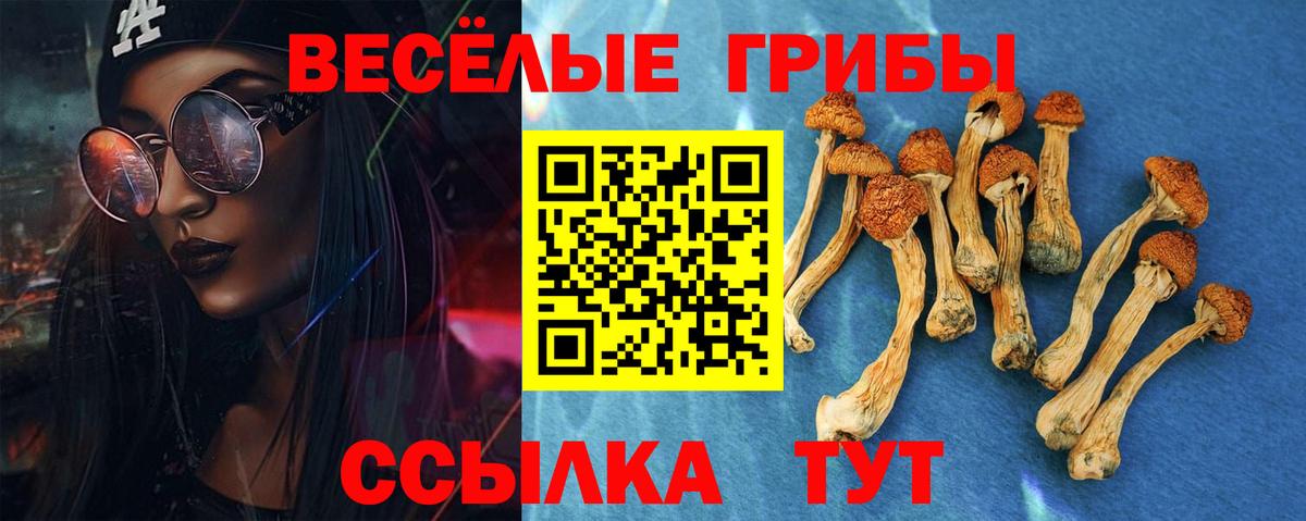 Псилоцибиновые грибы GOLDEN TEACHER  Вход с VPN  Гагарин  Псилоцибиновые грибы GOLDEN TEACHER 