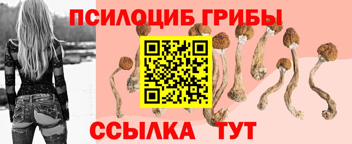 Псилоцибиновые грибы Magic Shrooms Гагарин
